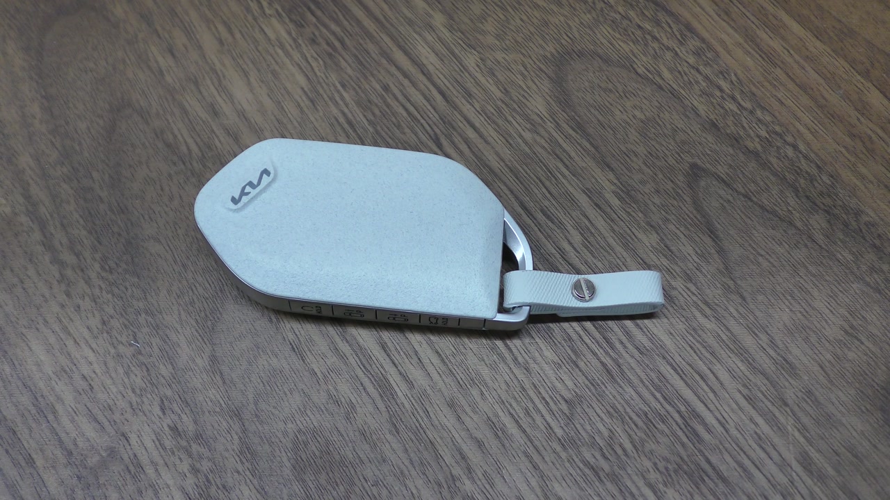 Kia EV9 Key Fob Battery Replacement - EASY DIY